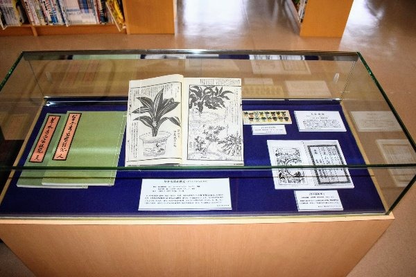 写真2展示ケース