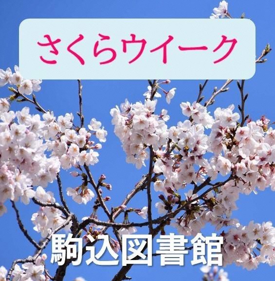 2025sakuraweek